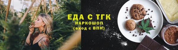 индика Баксан