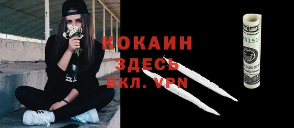 меф Инта