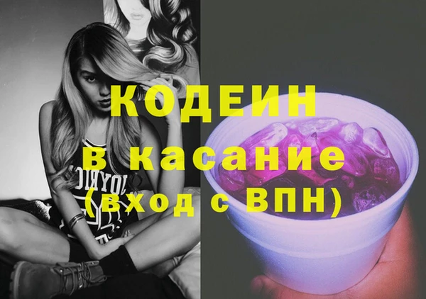 индика Баксан