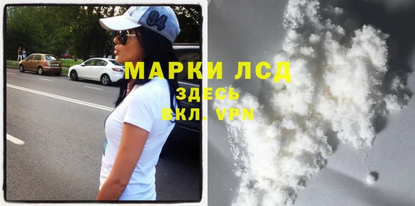 индика Баксан