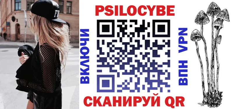 Галлюциногенные грибы Psilocybe  хочу наркоту  Приволжск 