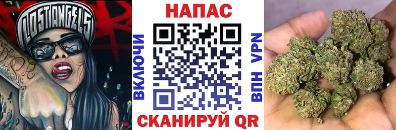 Бошки Шишки план  Приволжск 